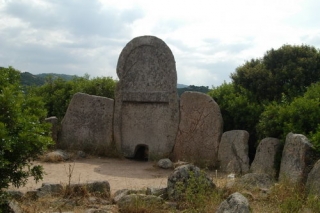  sorpresa 